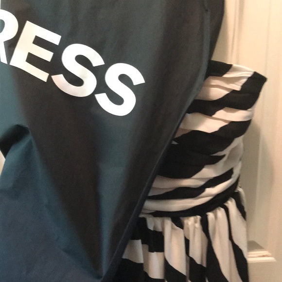 Express Cocktail Dress - Picture 5 of 5